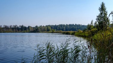 Doğa yansımalar göl veya nehir kırsal su temizleyin. sonbahar renkleri