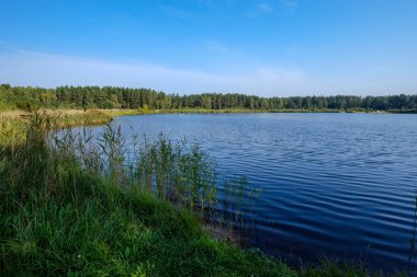Doğa yansımalar göl veya nehir kırsal su temizleyin. sonbahar renkleri