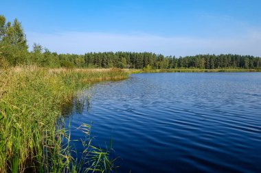 Doğa yansımalar göl veya nehir kırsal su temizleyin. sonbahar renkleri