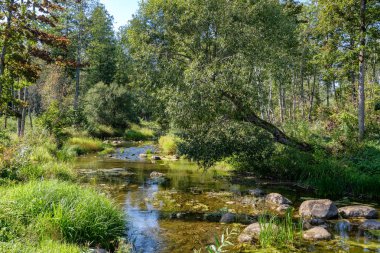 Doğa yansımalar göl veya nehir kırsal su temizleyin. sonbahar renkleri