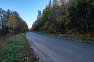 duyu hoş ya da estetik olarak ülkede çakıl yol sonbahar renk sonbahar renk sis ve her iki tarafta sisli ağaçları ile sorun