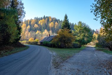duyu hoş ya da estetik olarak ülkede çakıl yol sonbahar renk sonbahar renk sis ve her iki tarafta sisli ağaçları ile sorun