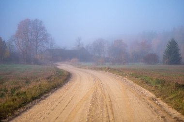 duyu hoş ya da estetik olarak ülkede çakıl yol sonbahar renk sonbahar renk sis ve her iki tarafta sisli ağaçları ile sorun