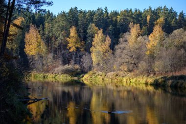 Doğa yansımalar göl veya nehir kırsal su temizleyin. sonbahar renkleri