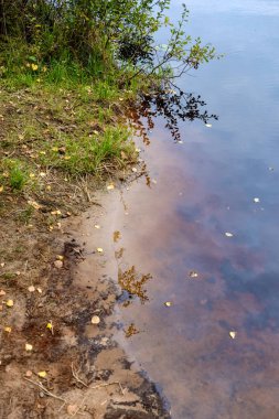 Doğa yansımalar göl veya nehir kırsal su temizleyin. sonbahar renkleri