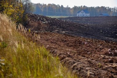 parlak gün ışığı tarafında renkli ağaçlar ile geç sonbaharda boş taze ekili tarım alanı