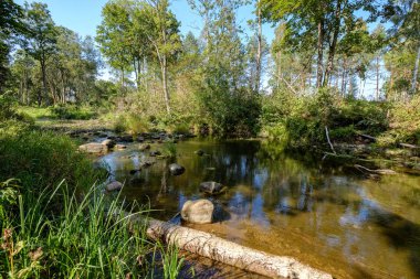 Doğa yansımalar göl veya nehir kırsal su temizleyin. sonbahar renkleri