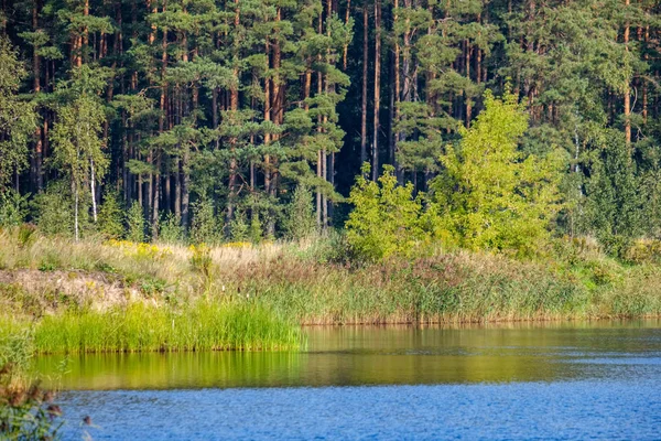 Natura Odbicia Czysta Woda Jeziorze Lub Rzece Wsi Jesienne Kolory — Zdjęcie stockowe