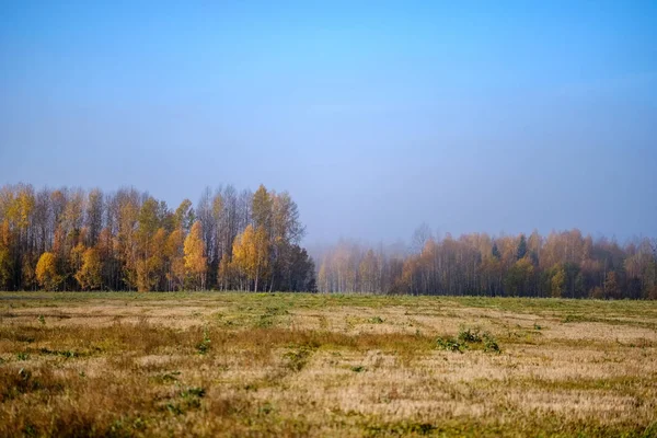Empty Field Late Autumn Brown Fall Colors — Stock Photo, Image