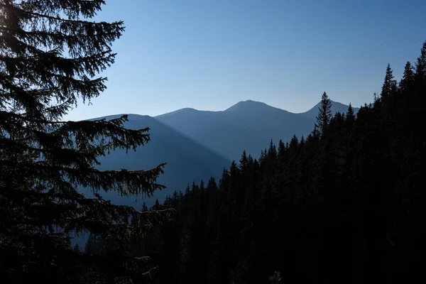 Karanlık Ormanın Içinde Siste Hafif Şeritli Puslu Gündoğumu Slovakça Tatra — Stok fotoğraf