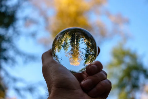 Lensball Őszi Természet Körül Tükrözi Színek Tartsa Emberi Kéz Esik — Stock Fotó