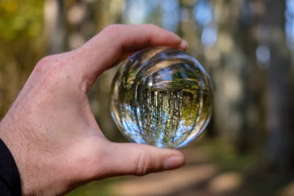 Lensball Autunno Che Riflette Natura Intorno Esso Caduta Colori Tenere — Foto Stock