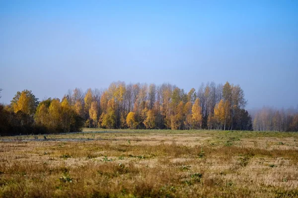 Champ Vide Fin Automne Dans Les Couleurs Brun Automne — Photo