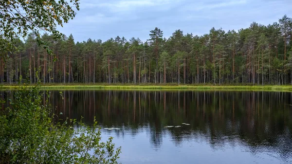 Spiegelungen Der Natur Klarem Wasser See Oder Fluss Auf Dem — Stockfoto
