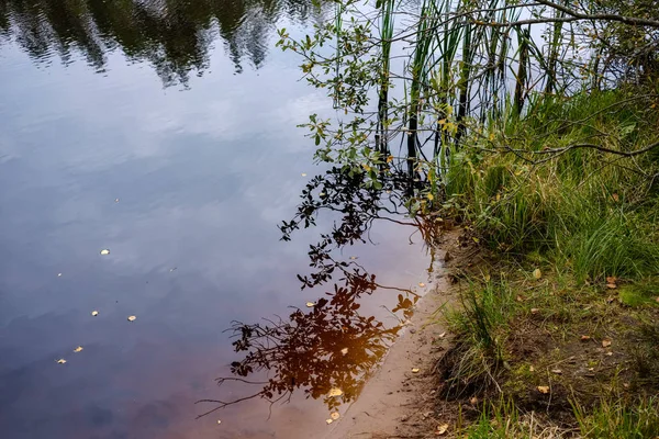 Riflessi Della Natura Acque Limpide Nel Lago Nel Fiume Campagna — Foto Stock