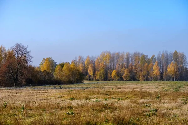 Empty Field Late Autumn Brown Fall Colors — Stock Photo, Image