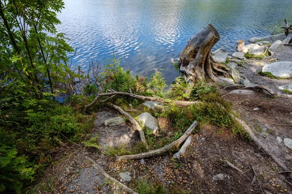 Φθινοπωρινή Φύση Αντανάκλαση Στην Λίμνη Του Strbske Pleso Στη Σλοβακία — Φωτογραφία Αρχείου