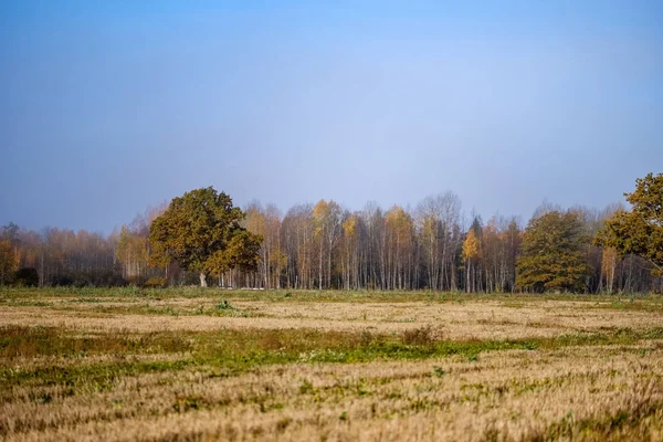 Empty Field Late Autumn Brown Fall Colors — Stock Photo, Image