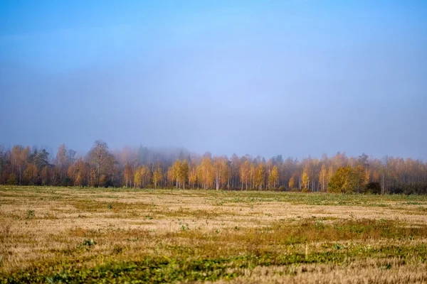 Empty Field Late Autumn Brown Fall Colors — Stock Photo, Image