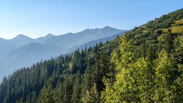 Nebliger Sonnenaufgang Slowakischen Tatra Gebirge Mit Hellen Gassen Nebel Über — Stockfoto