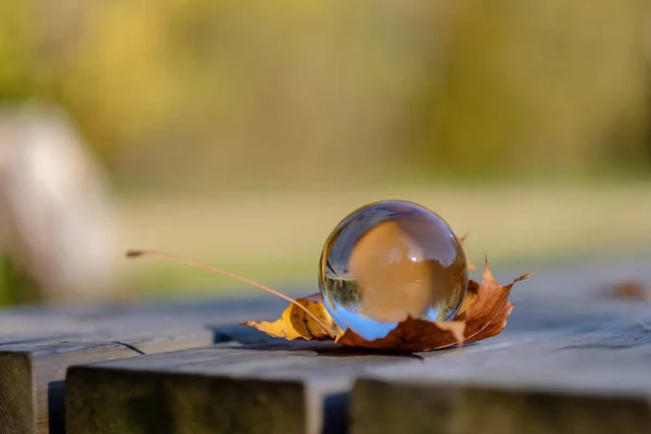 Lensball Autunno Che Riflette Natura Intorno Esso Caduta Colori Tenere — Foto Stock