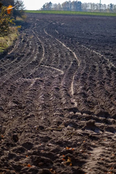 Champ Agricole Vide Fraîchement Cultivé Fin Automne Plein Jour Avec — Photo