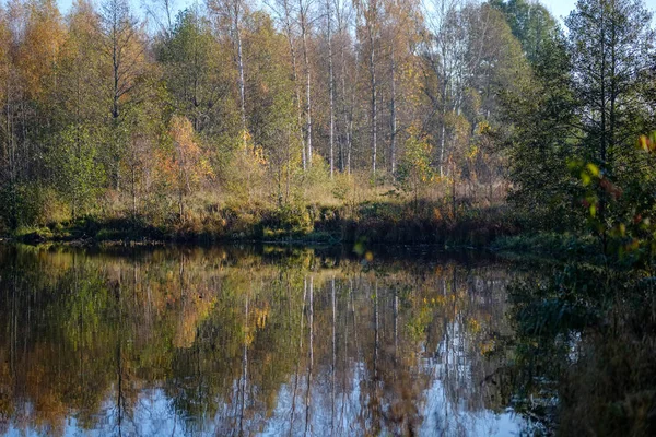 Réflexions Nature Dans Eau Claire Dans Lac Rivière Campagne Couleurs — Photo