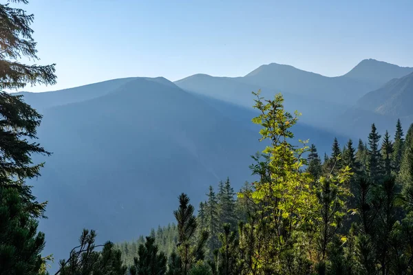 Mlhavé Svítání Slovenských Tatrách Světelné Pruhy Mlze Nad Temného Lesa — Stock fotografie