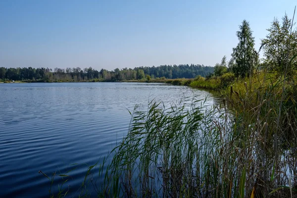 Odrazy Přírody Čisté Vody Jezero Nebo Řeka Přírodě Podzimní Barvy — Stock fotografie