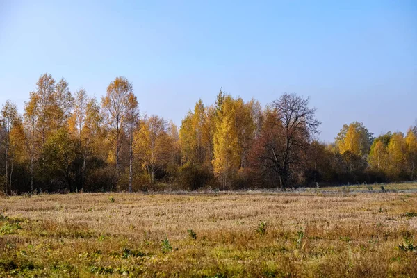 Empty Field Late Autumn Brown Fall Colors — Stock Photo, Image