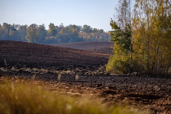 Πεδίο Κενό Φρέσκο Καλλιεργούμενου Agro Στα Τέλη Του Φθινοπώρου Στο — Φωτογραφία Αρχείου