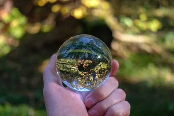 Lensball Autunno Che Riflette Natura Intorno Esso Caduta Colori Tenere — Foto Stock