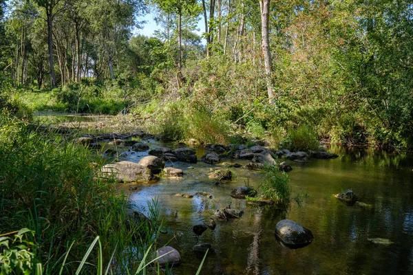 Riflessi Della Natura Acque Limpide Nel Lago Nel Fiume Campagna — Foto Stock