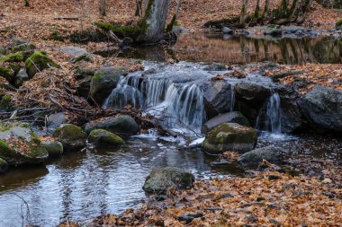 şelale nehir akışı ormanda çıplak ağaçlar ile geç sonbaharda ve gri renklerde doğada kayaların üzerinde