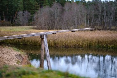 Ahşap tahta köprü ormandaki su üzerinde Güz gri renkler ile