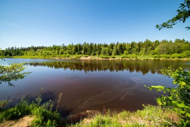 sakin Nehri ile parlak yeşil yeşillik suda ağaçlarda Cesis, Letonya yakınındaki ormanda yansımalar yaz aylarında. Nehir Gauja kumtaşı kayalıklarla ile akşam güneşte