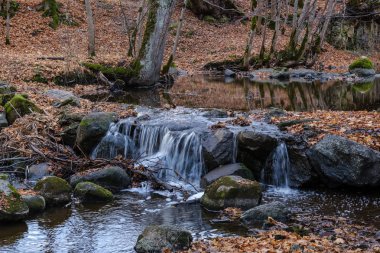 şelale nehir akışı ormanda çıplak ağaçlar ile geç sonbaharda ve gri renklerde doğada kayaların üzerinde