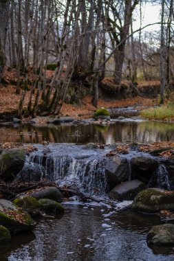 şelale nehir akışı ormanda çıplak ağaçlar ile geç sonbaharda ve gri renklerde doğada kayaların üzerinde