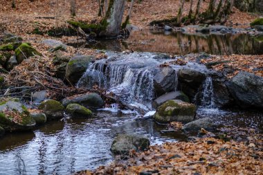 şelale nehir akışı ormanda çıplak ağaçlar ile geç sonbaharda ve gri renklerde doğada kayaların üzerinde
