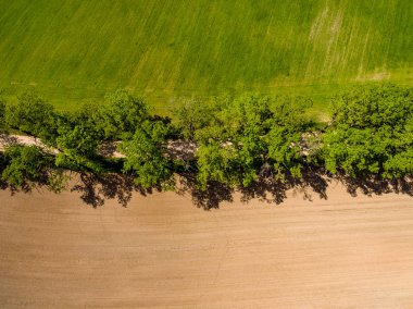 drone görüntü. alanları ve ormanları ve bulutlu bahar günü nehir su yansımalar kırsal alan hava görünümünü. Letonya