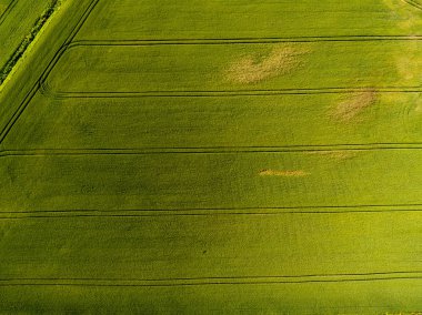 drone görüntü. alanları ve ormanları ve bulutlu bahar günü nehir su yansımalar kırsal alan hava görünümünü. Letonya