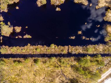 drone görüntü. alanları ve ormanları ve bulutlu bahar günü nehir su yansımalar kırsal alan hava görünümünü. Letonya