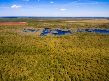 drone görüntü. alanları ve ormanları ve bulutlu bahar günü nehir su yansımalar kırsal alan hava görünümünü. Letonya