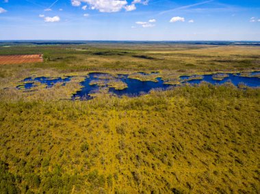 drone görüntü. alanları ve ormanları ve bulutlu bahar günü nehir su yansımalar kırsal alan hava görünümünü. Letonya
