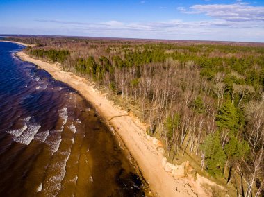 drone görüntü. kırsal alan kayalık plaj Baltık Denizi ile hava görünümünü. sakin gün uzak ufuk