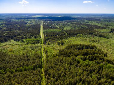 drone görüntü. alanları ve ormanları ve bulutlu bahar günü nehir su yansımalar kırsal alan hava görünümünü. Letonya