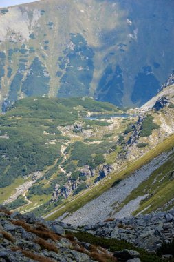 kayalık dağ Slovakça Tatra Batı Karpat mavi gökyüzü ve geç çim ile sonbaharda tepelerde yürüyüş parkurları ile en fazla. Parlak gün ışığı, maceralar için uzak ufuk boş kayalarda.
