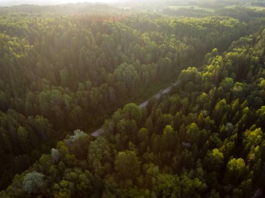 drone görüntü. alanları ve ormanları ve bulutlu bahar günü nehir su yansımalar kırsal alan hava görünümünü. Letonya