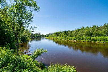 sakin Nehri ile parlak yeşil yeşillik suda ağaçlarda Cesis, Letonya yakınındaki ormanda yansımalar yaz aylarında. Nehir Gauja kumtaşı kayalıklarla ile akşam güneşte