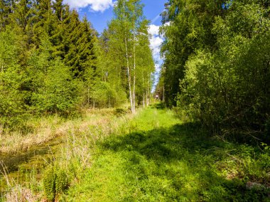 drone görüntü. alanları ve ormanları ve bulutlu bahar günü nehir su yansımalar kırsal alan hava görünümünü. Letonya